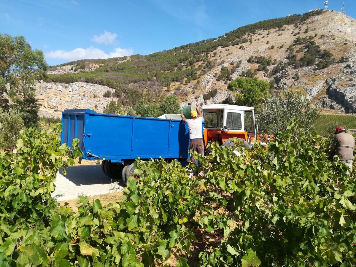Villa Bonifato Vista Sulle Campagne E Sul Mare Siciliano Cozy House Italy Alcamo Exterior photo
